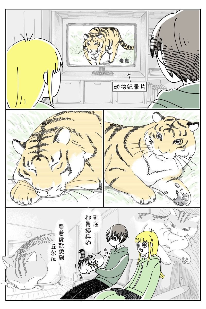 第156话