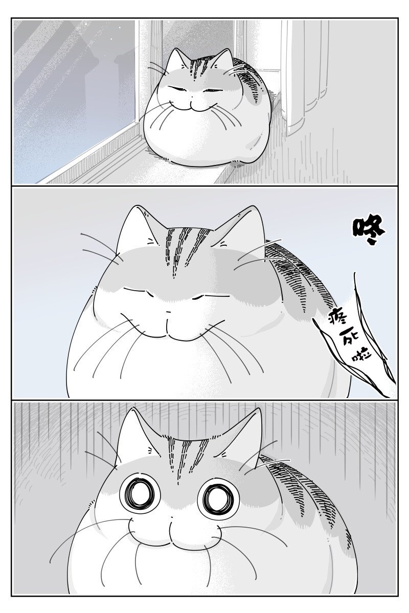 第162话