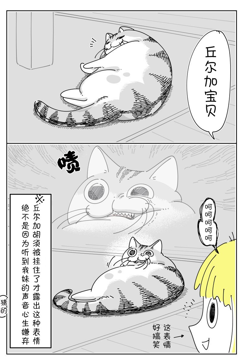 第164话