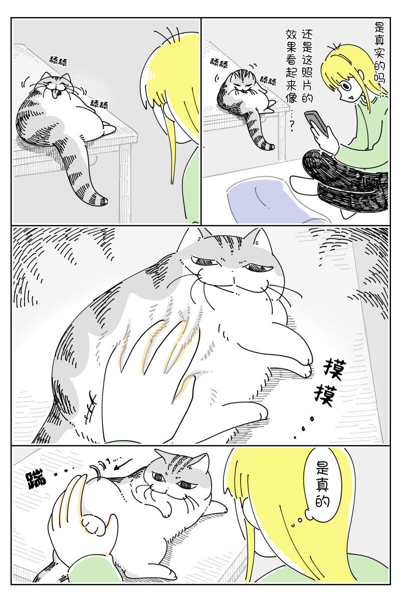 第167话