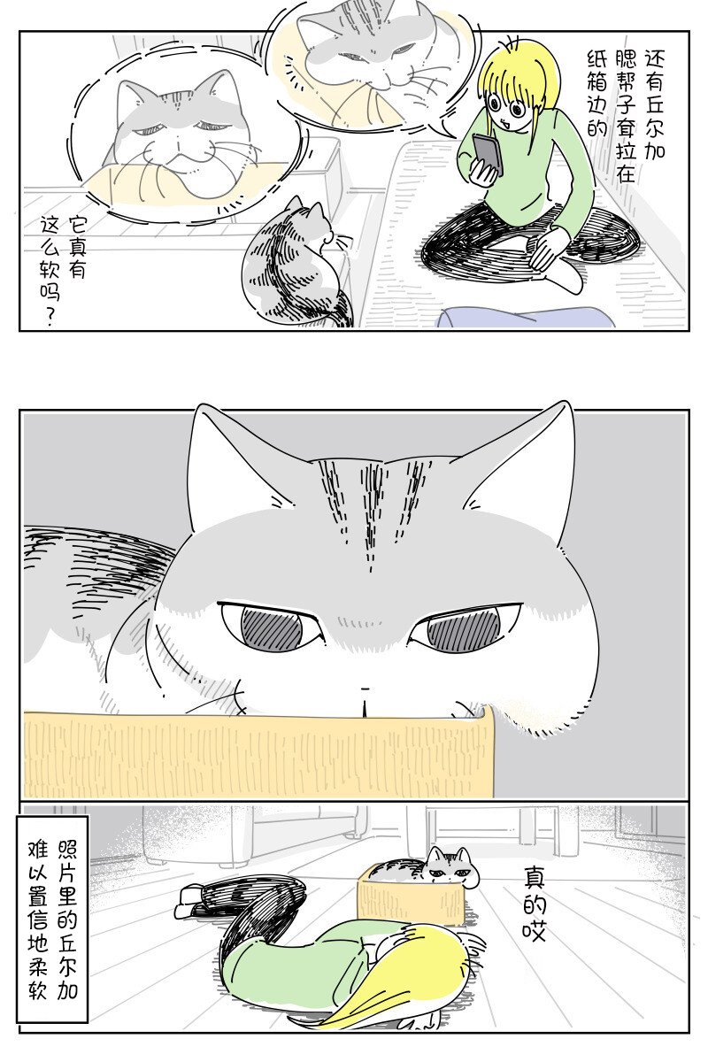 第167话