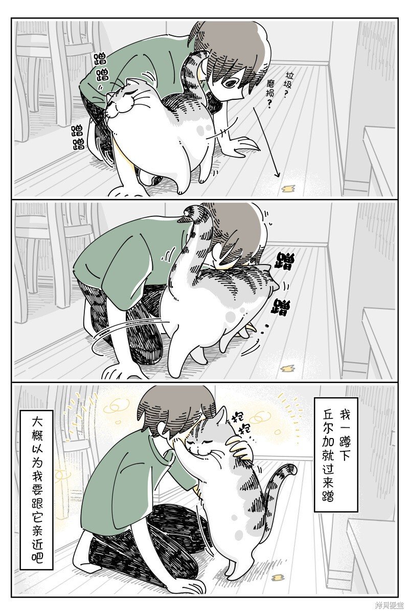 第174话