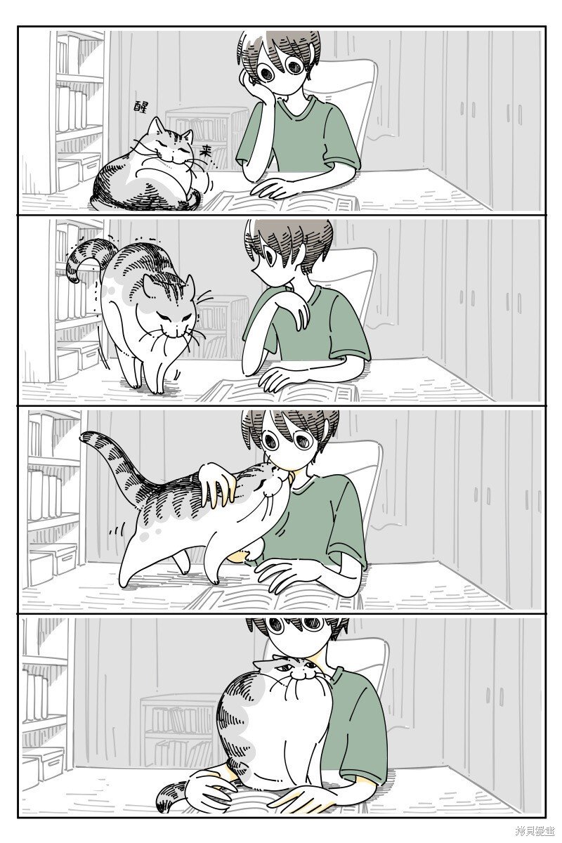 第178话