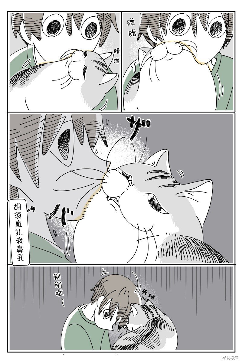 第178话