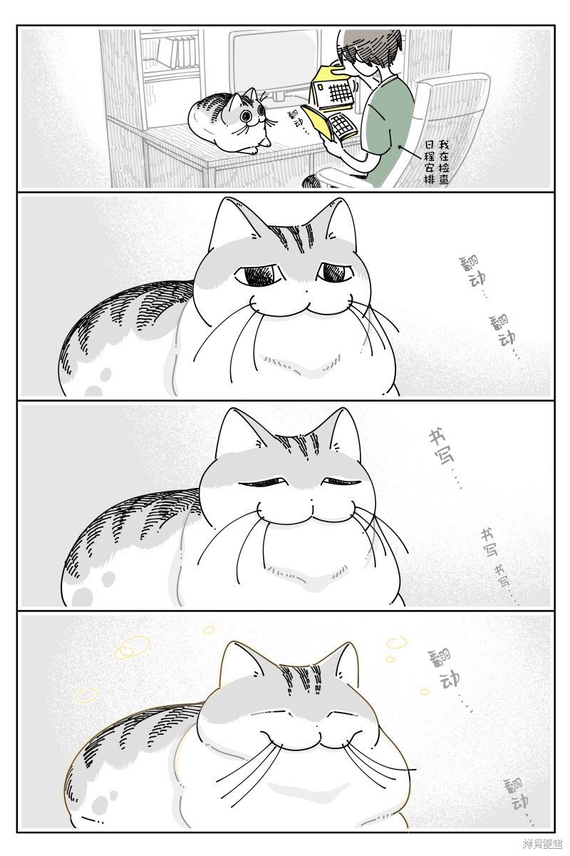 第181话