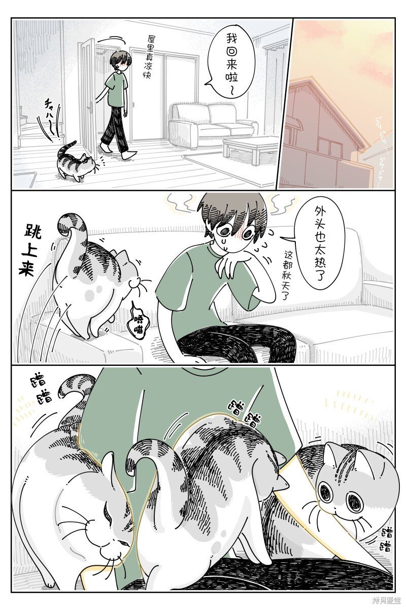第185话