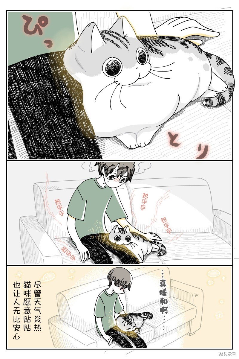第185话