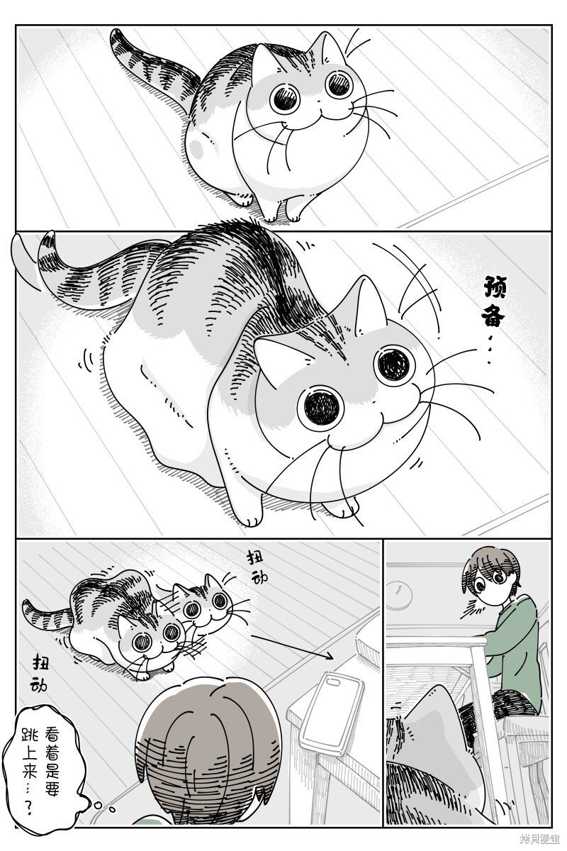 第187话
