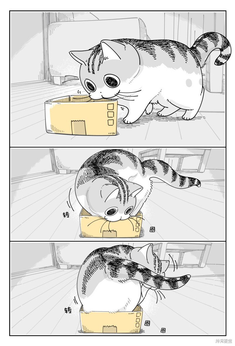 第188话