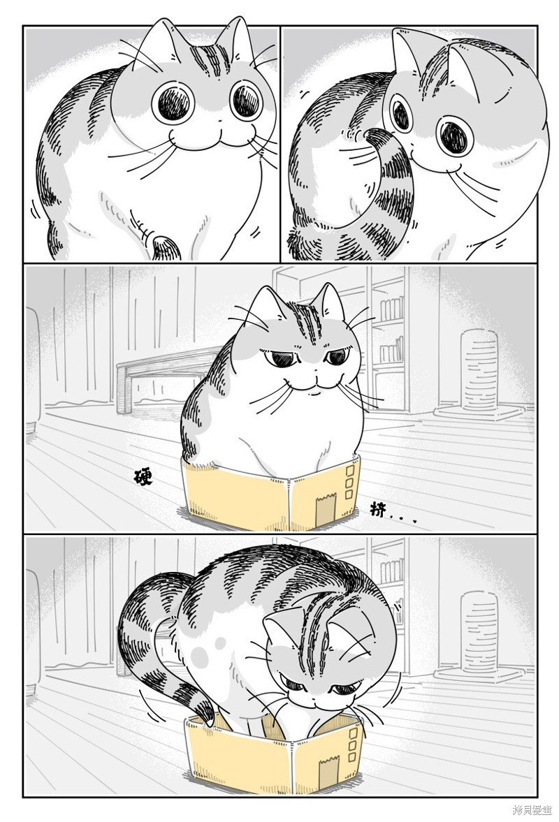 第188话