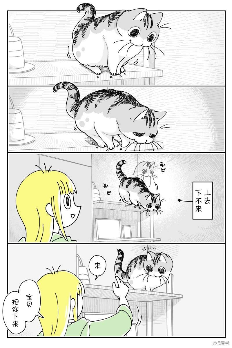 第190话
