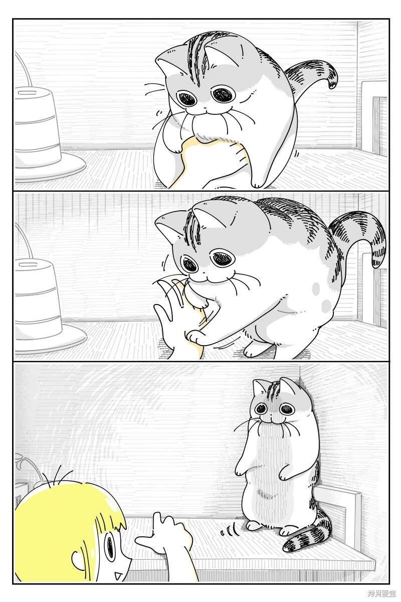 第190话