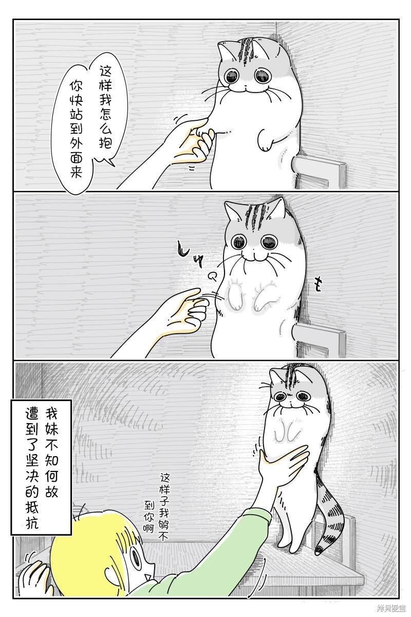第190话