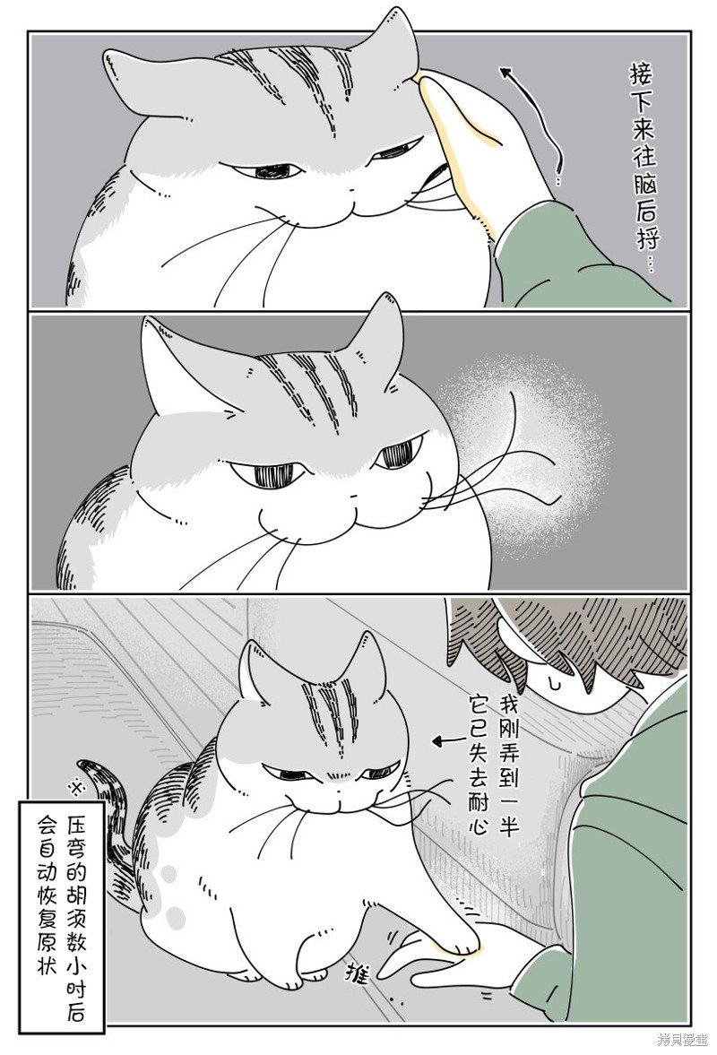 第192话
