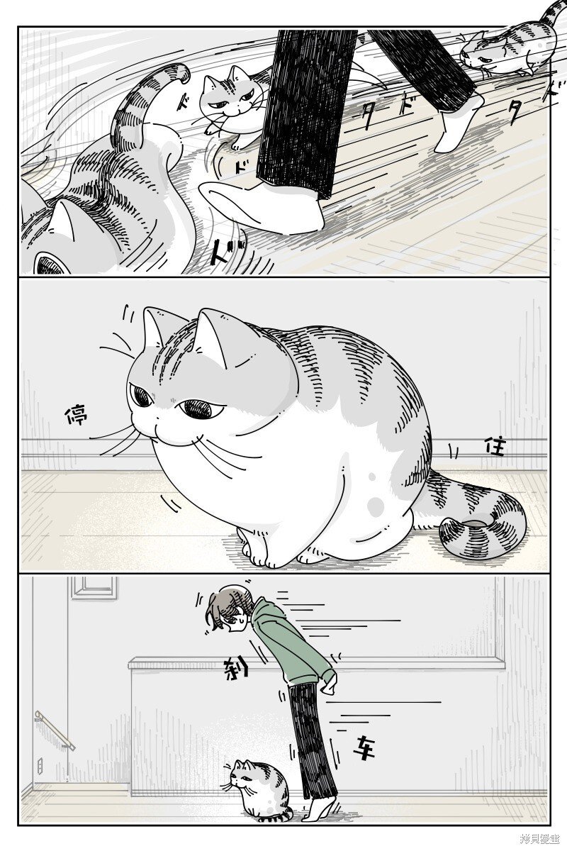 第194话