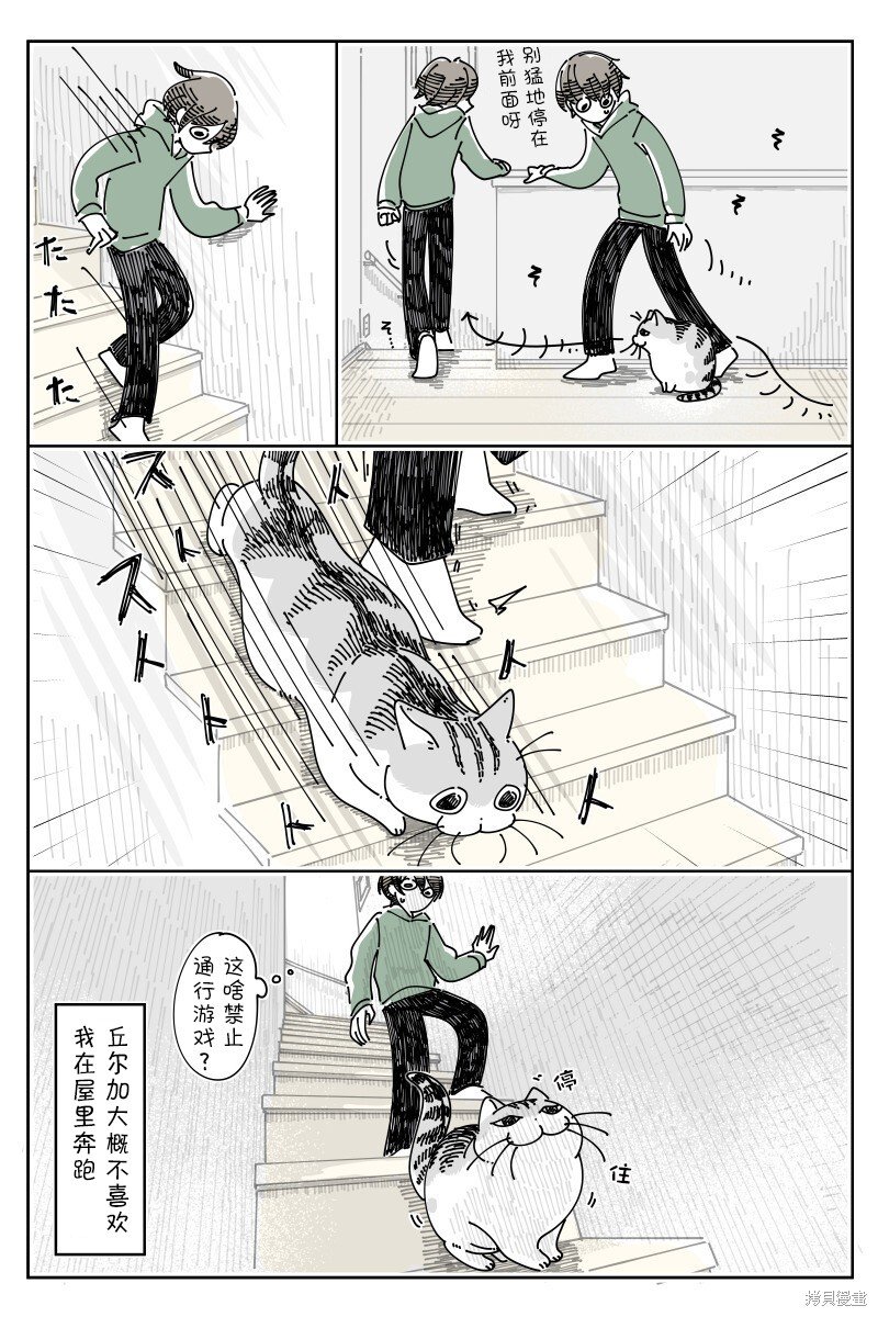 第194话