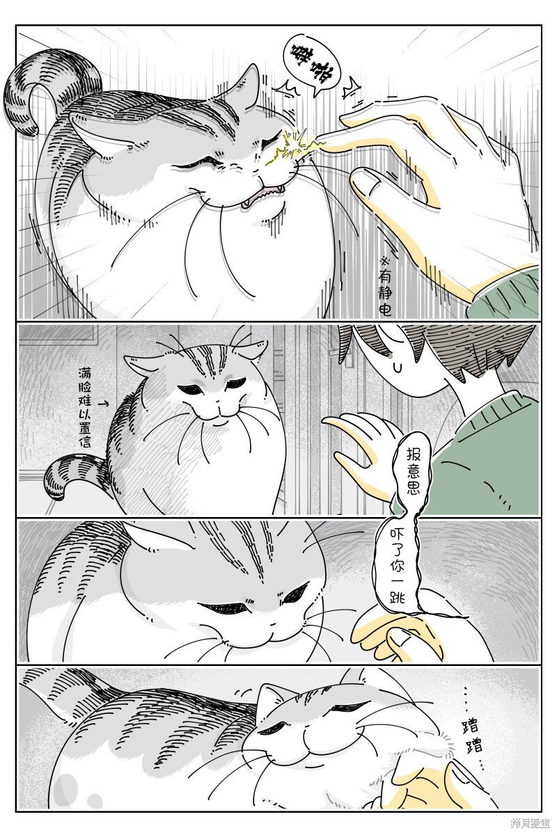 第195话
