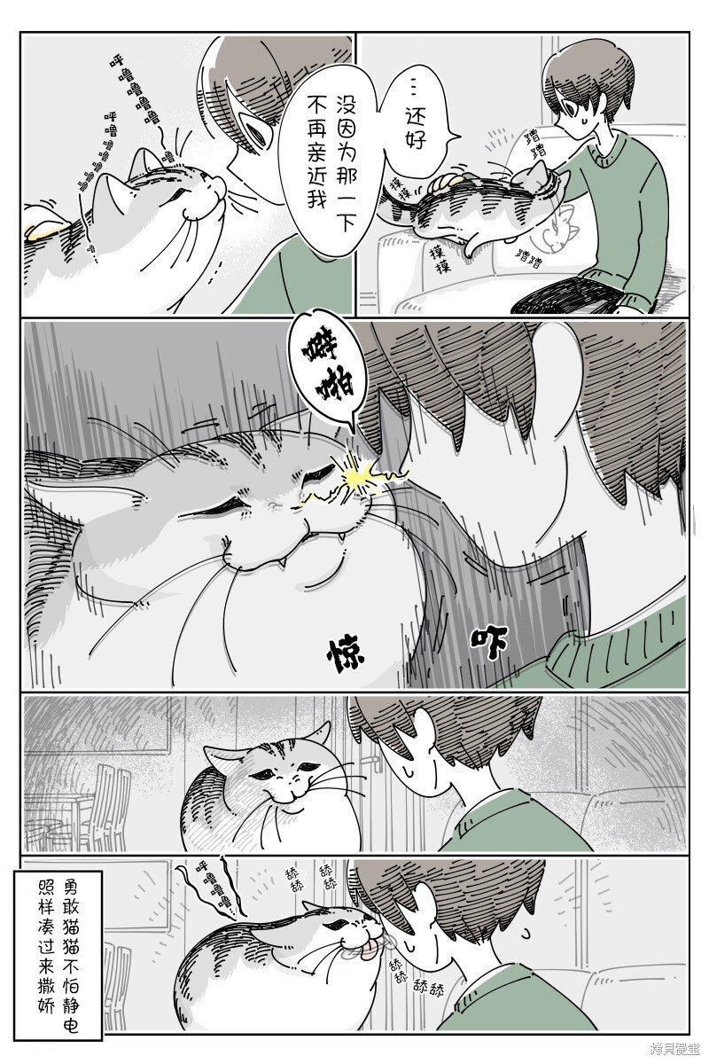 第195话