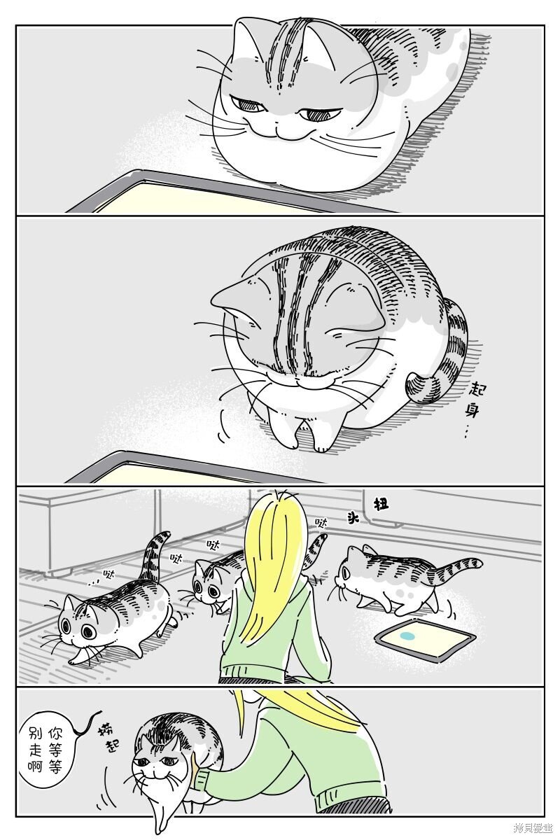 第196话