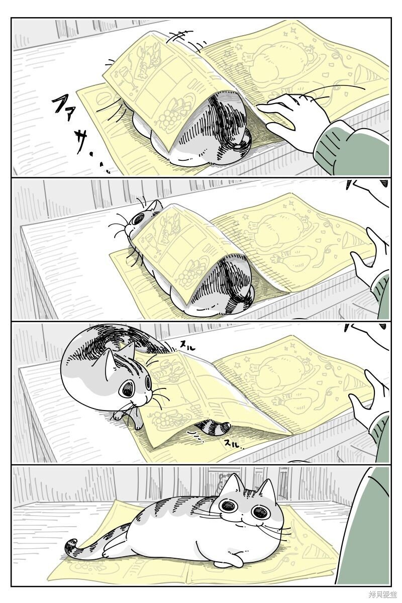 第197话