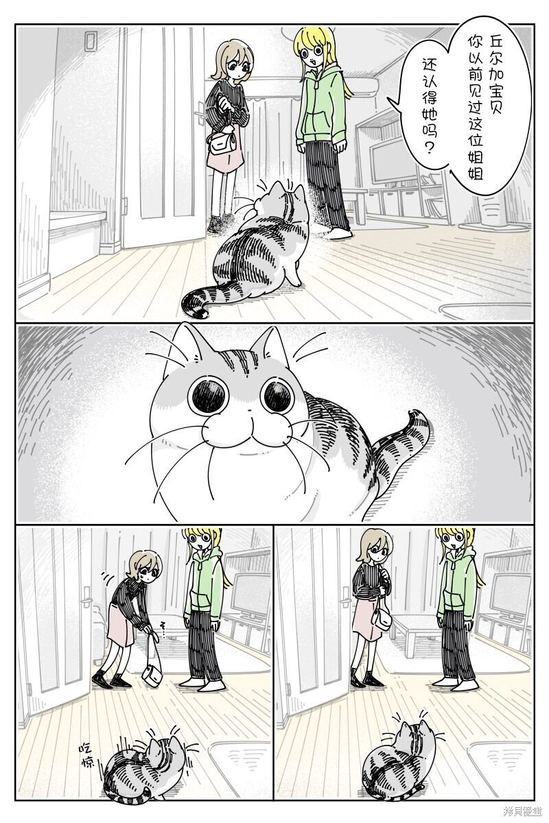 第199话