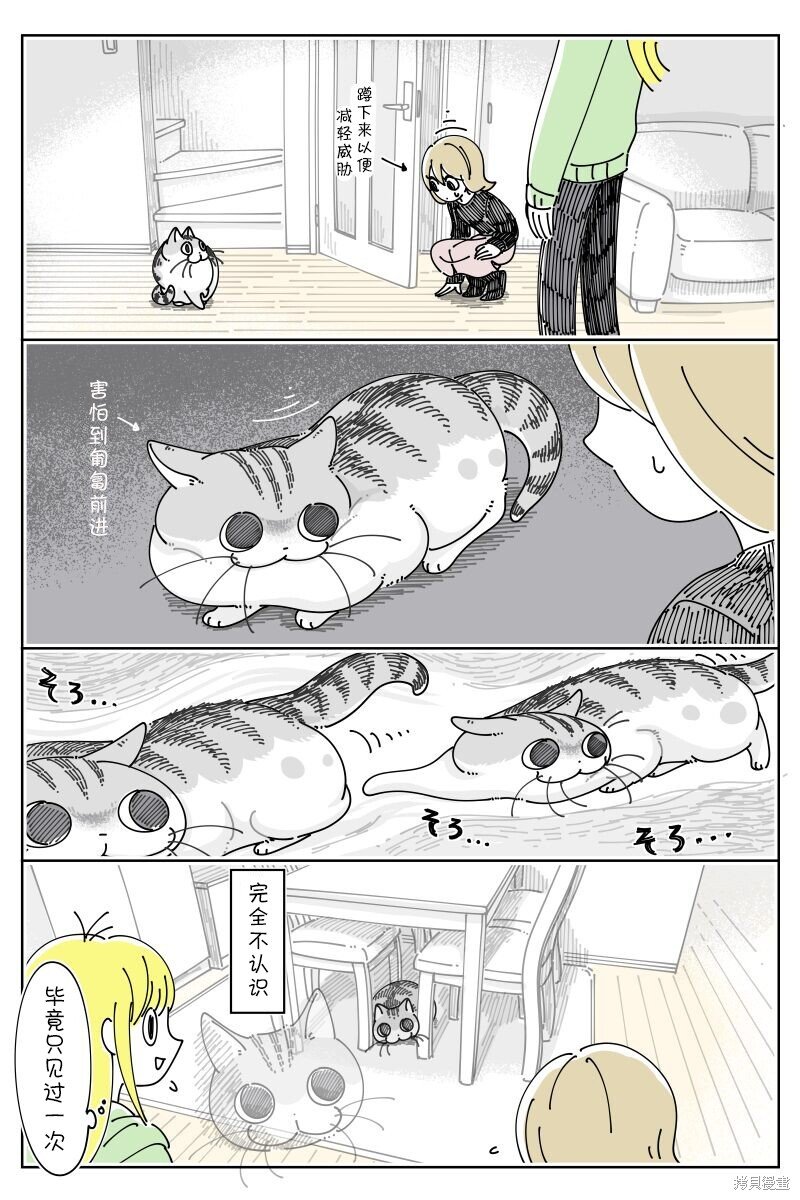第199话
