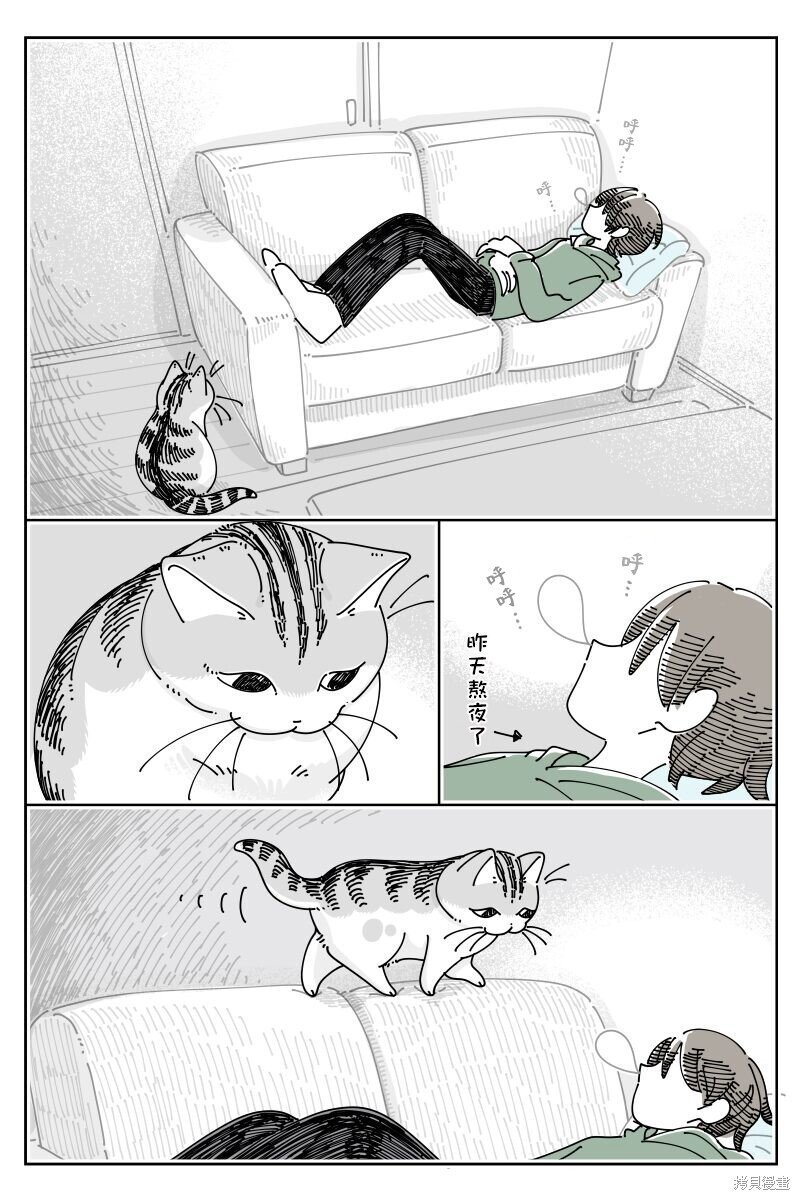 第203话