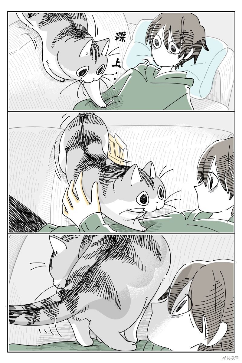 第203话