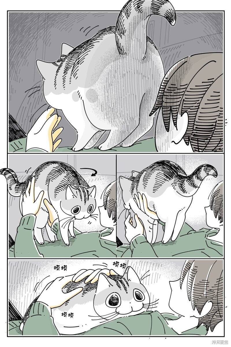 第203话