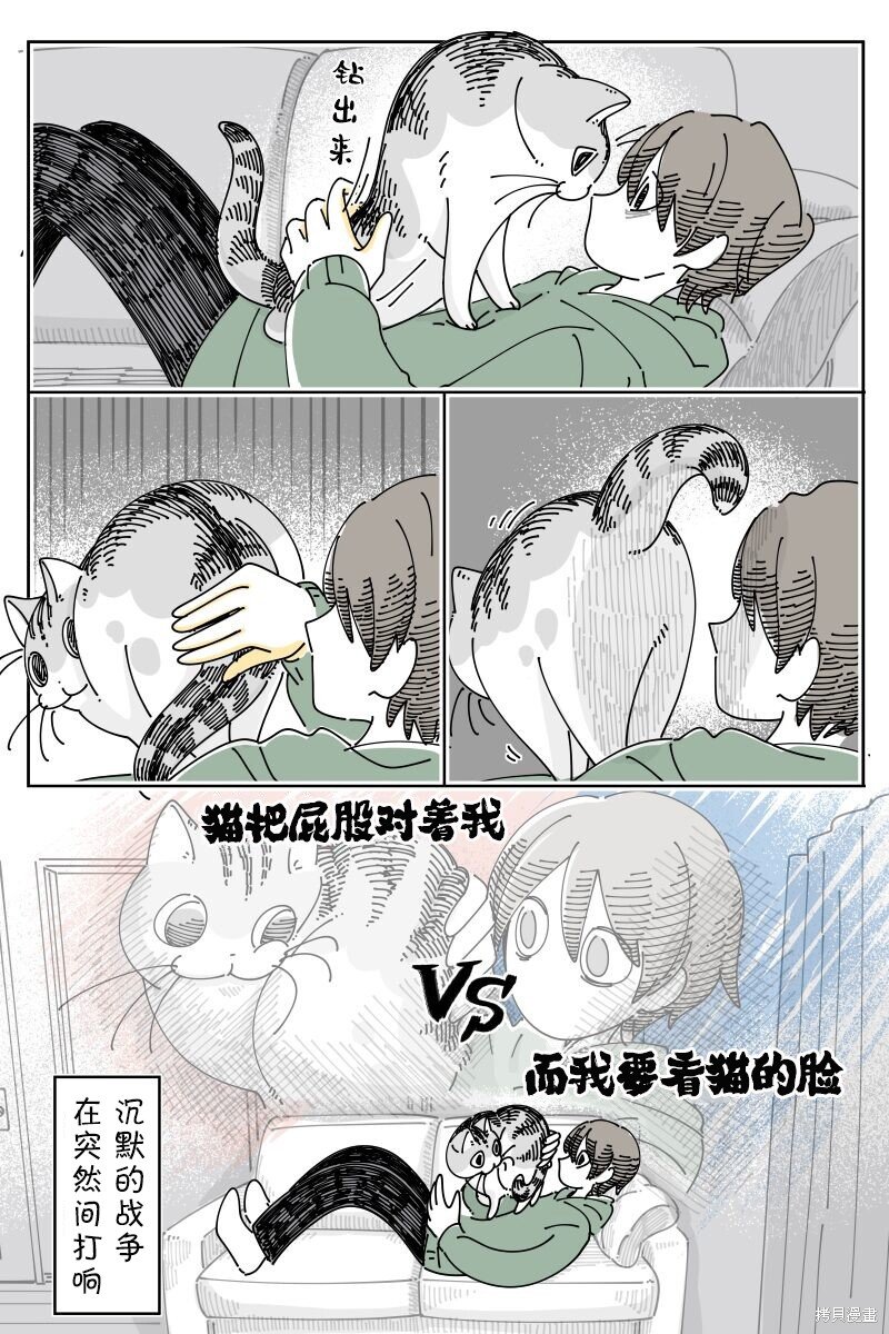 第203话