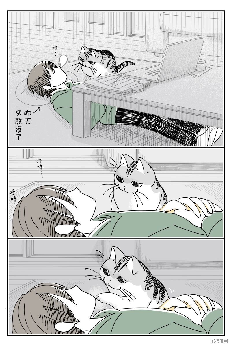 第204话