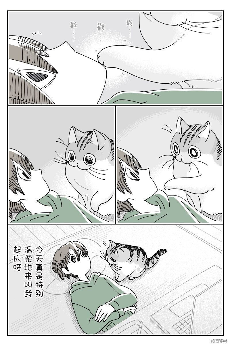 第204话