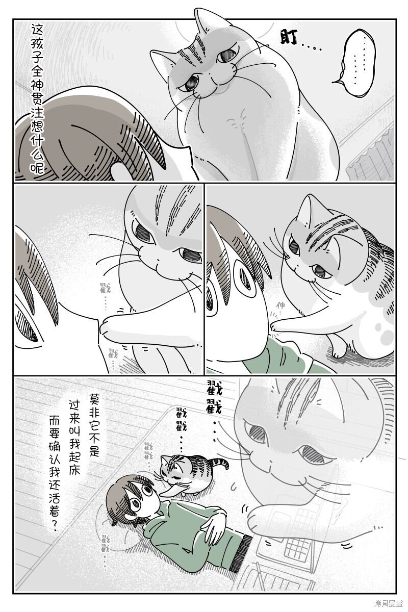 第204话