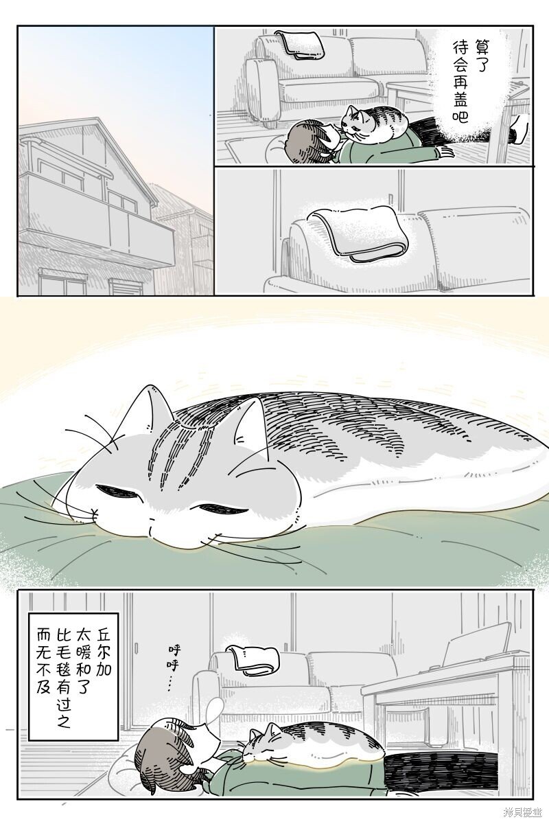 第205话