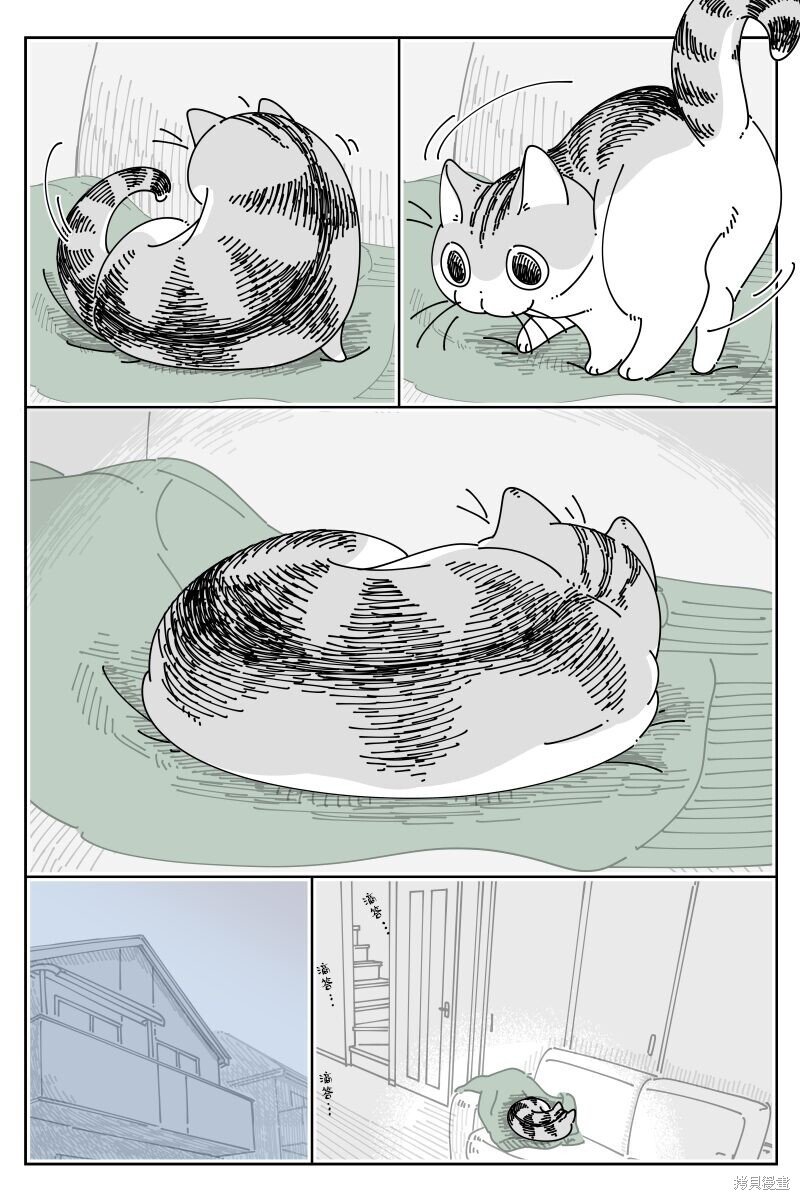 第206话