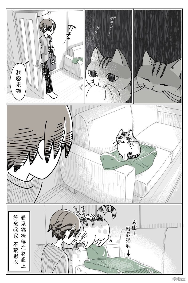 第206话