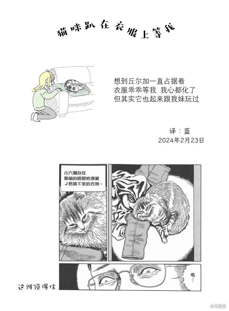第206话