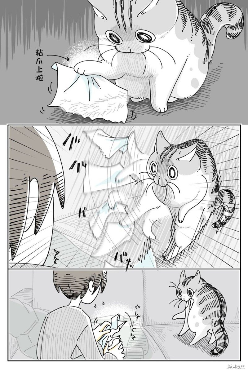 第207话