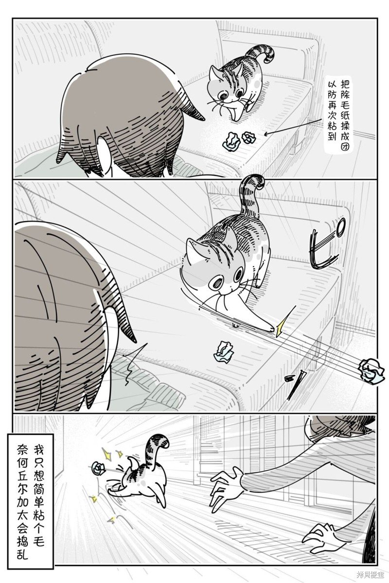 第207话
