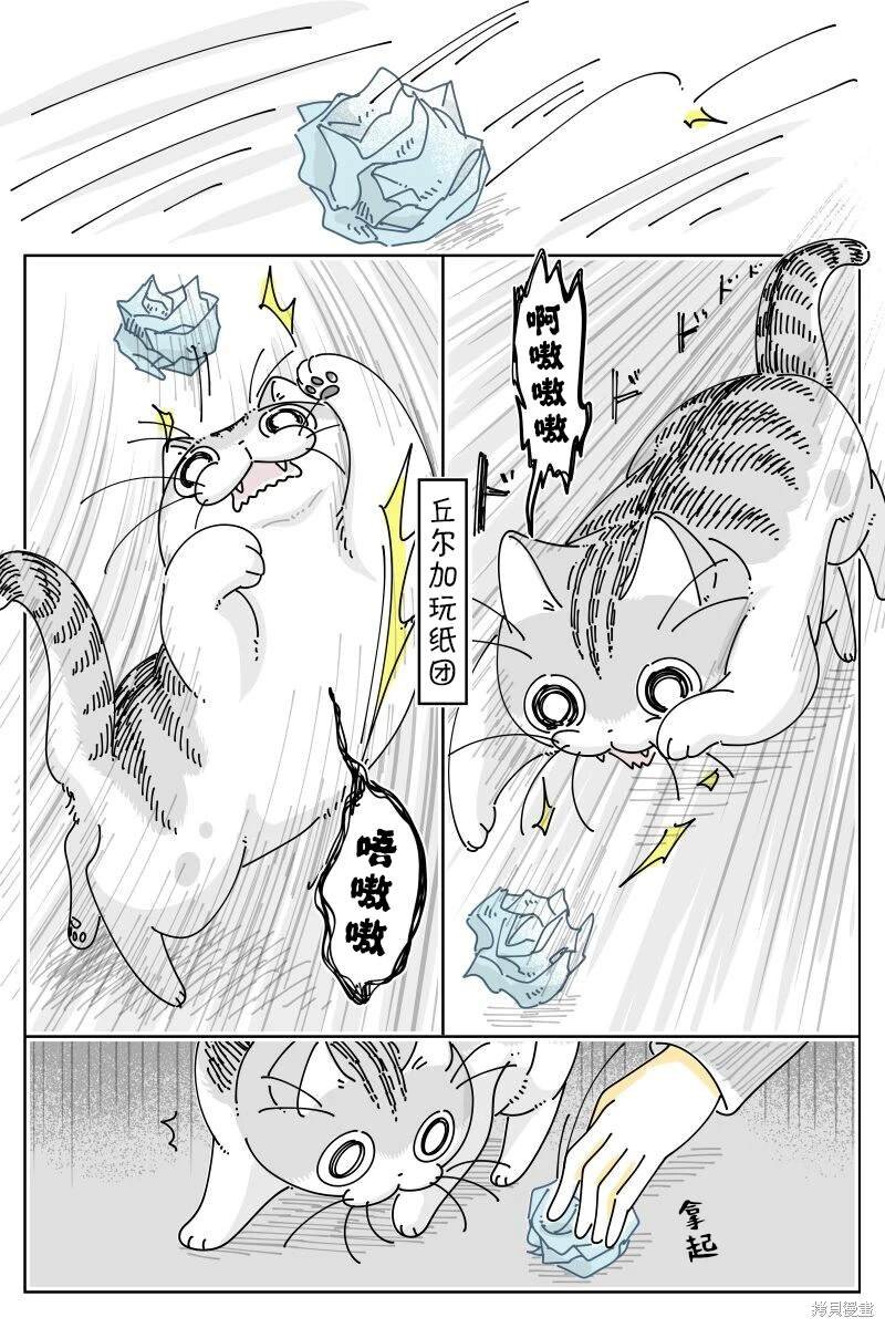 第208话