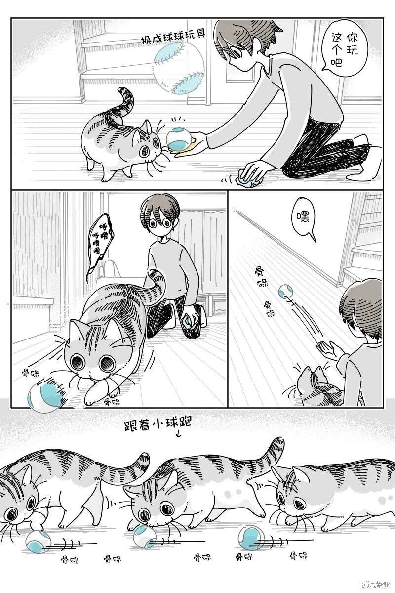 第208话