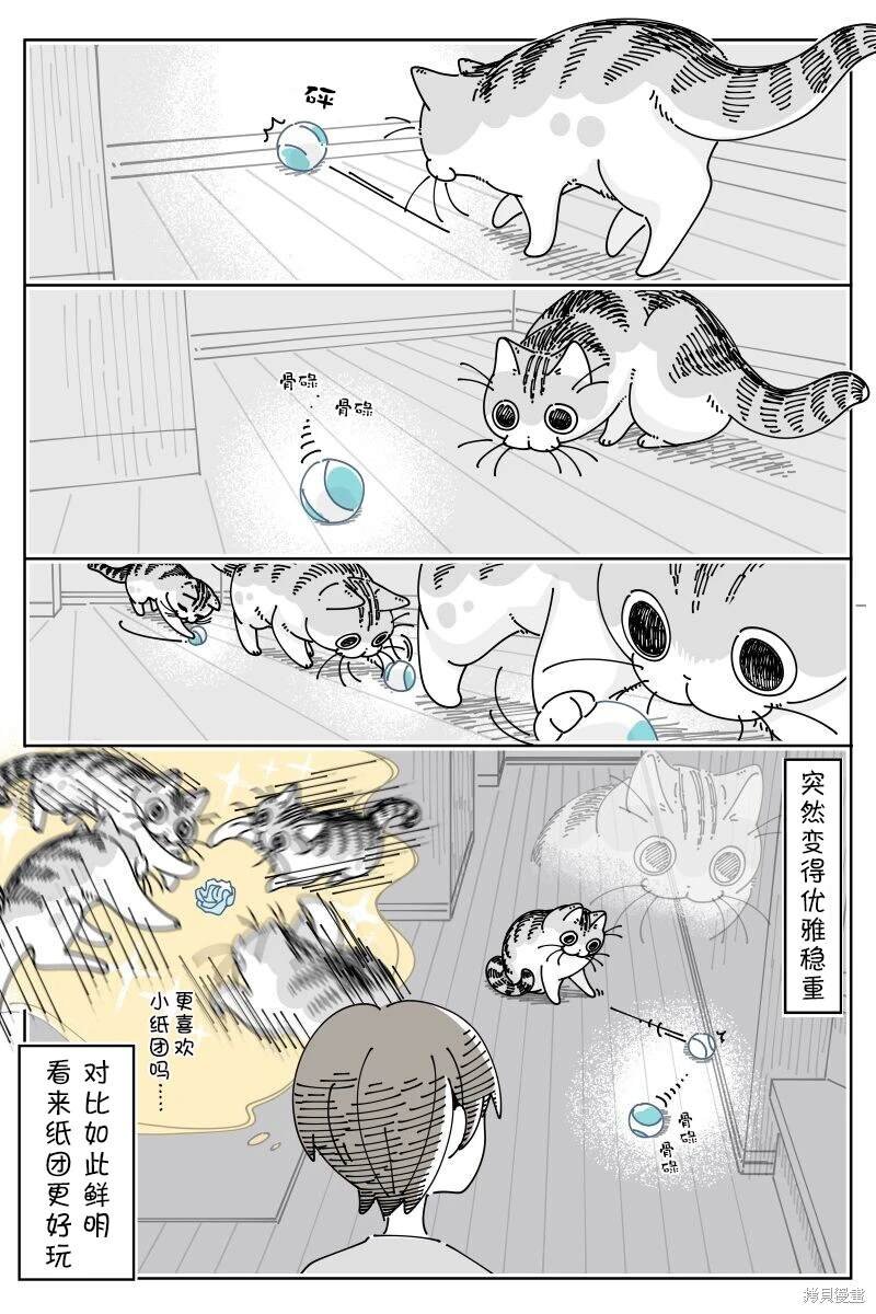 第208话