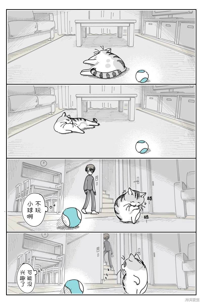 第209话