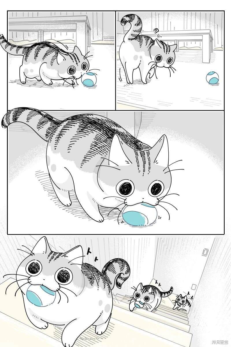 第209话
