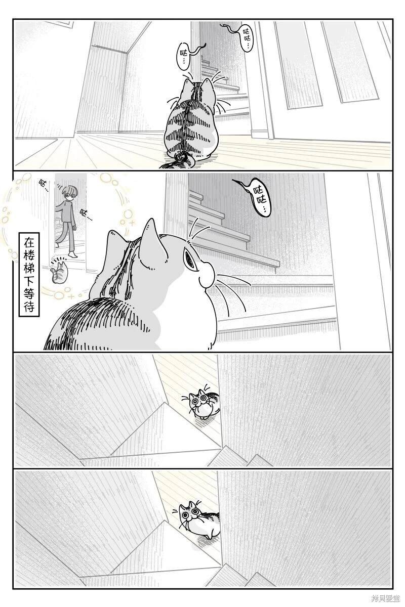 第210话