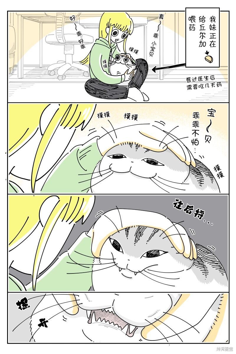 第211话