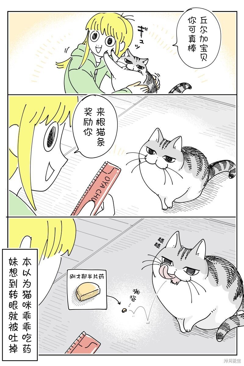第211话