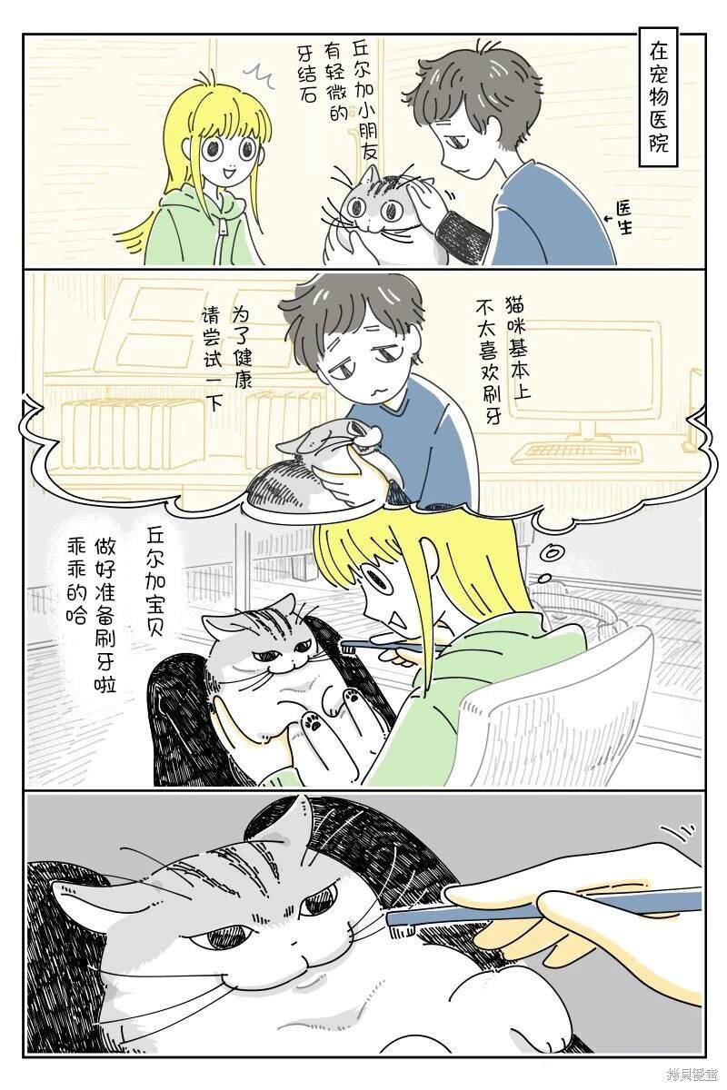 第212话