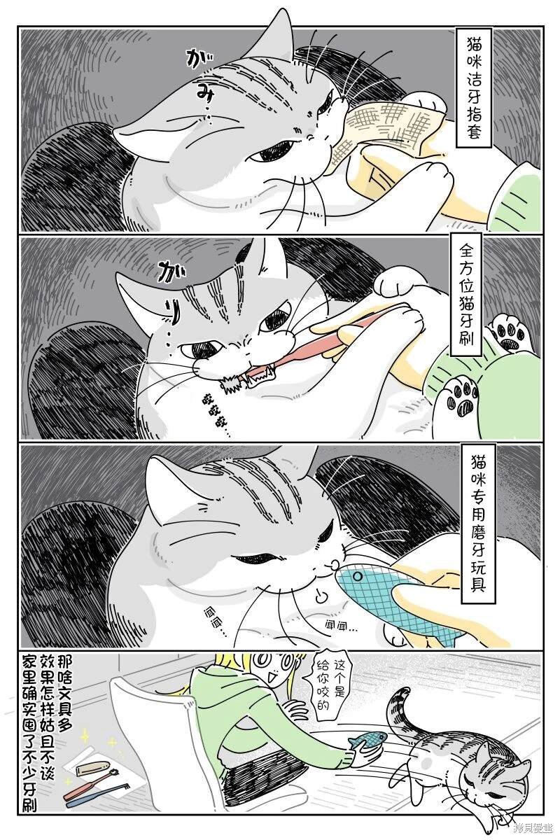 第212话