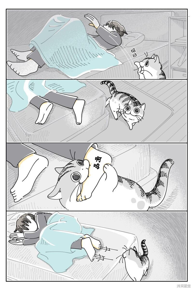 第213话